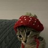 Profile picture of